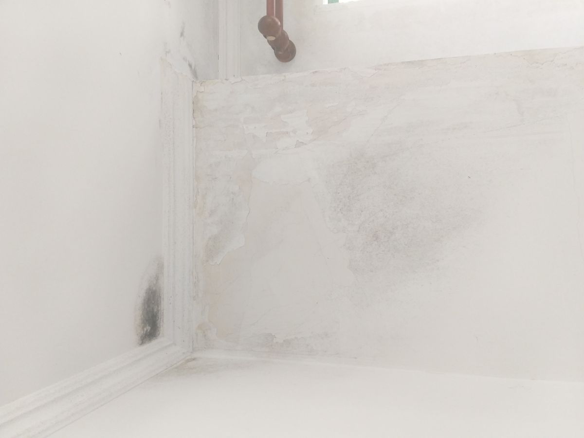 Casa brilhante - Setúbal - Commercial Cleaning