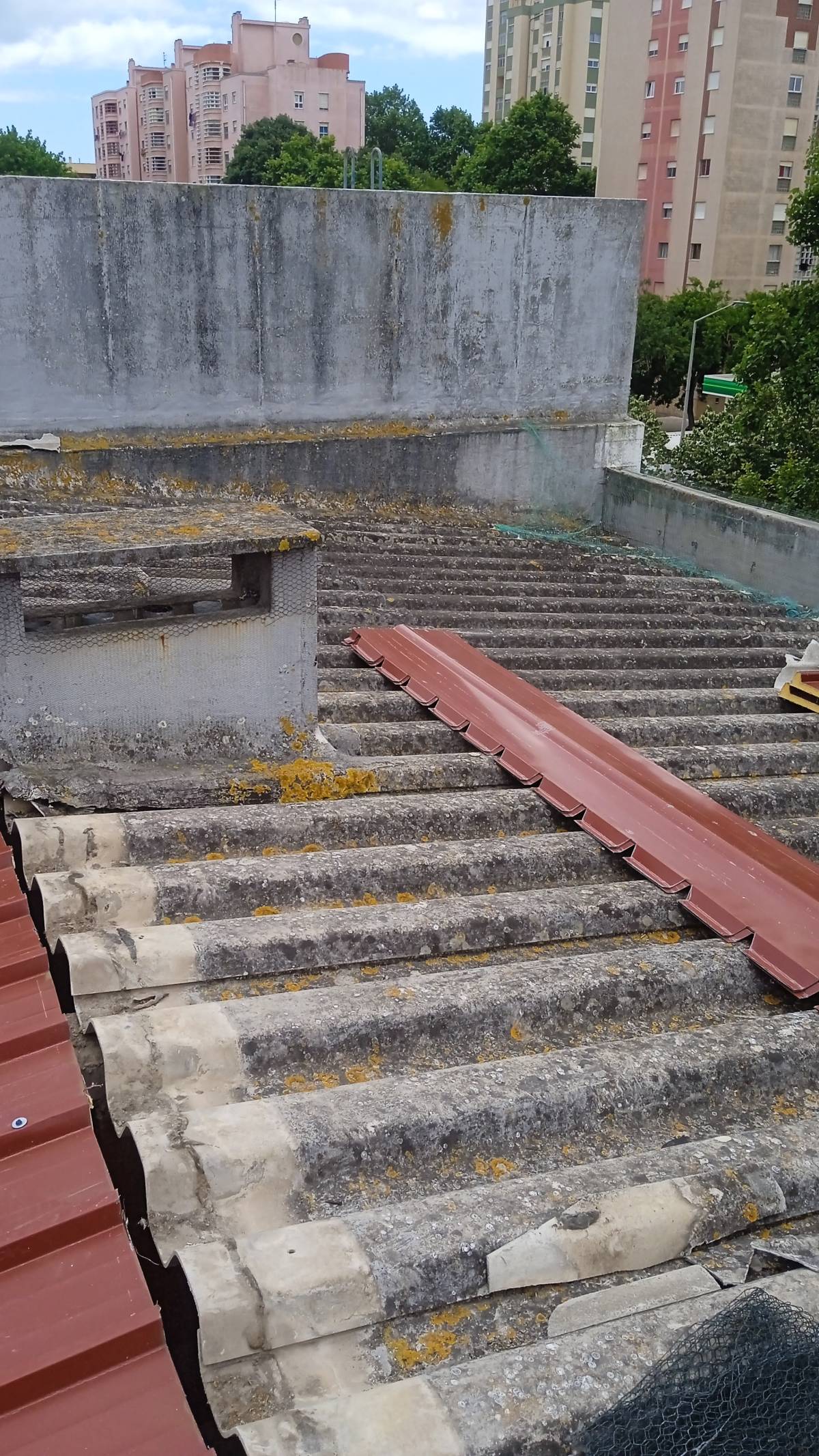 Delinear Serviços - Amadora - Jardinagem e Relvados