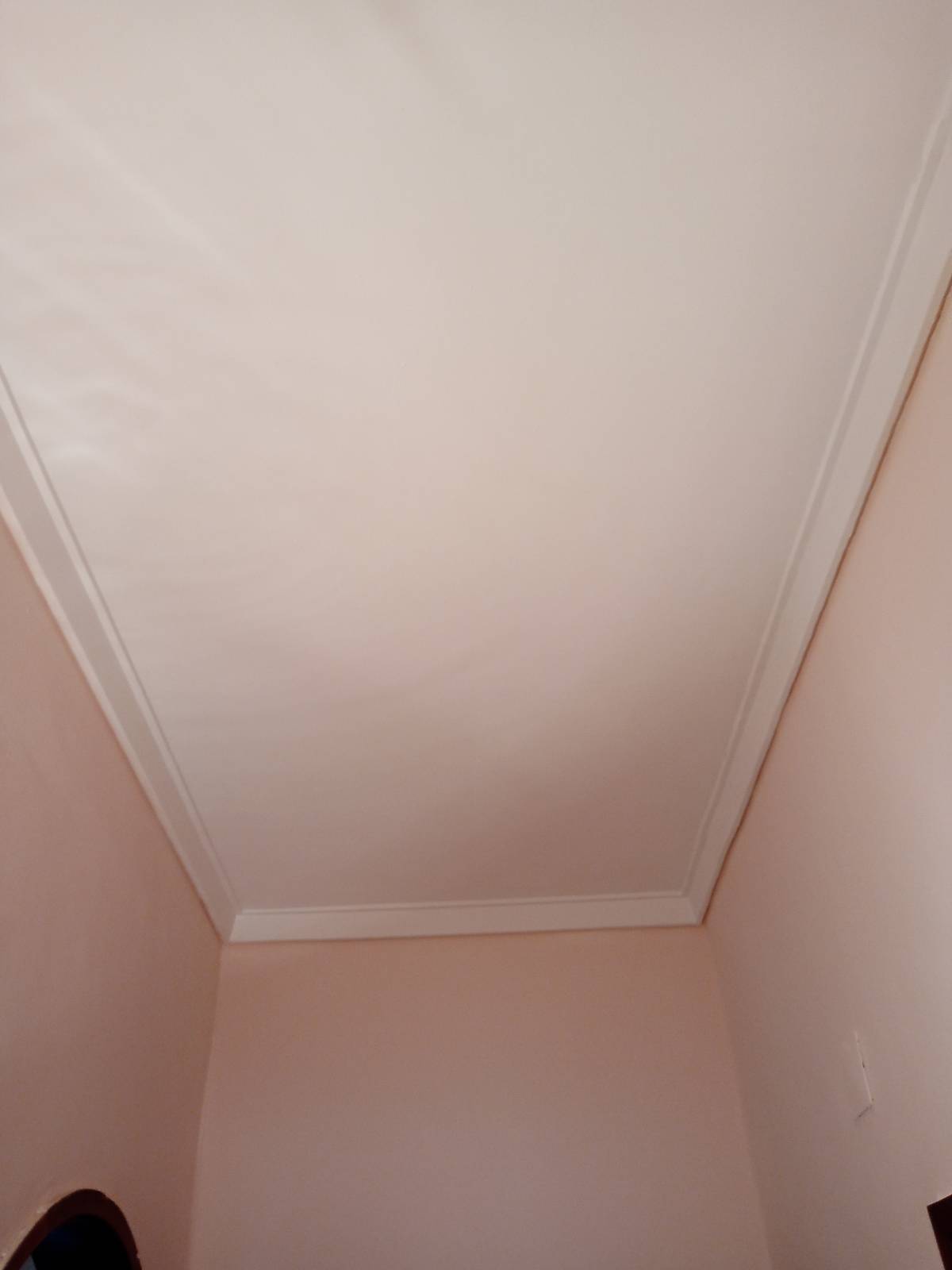 Nelson branco - Barreiro - Sound Proofing