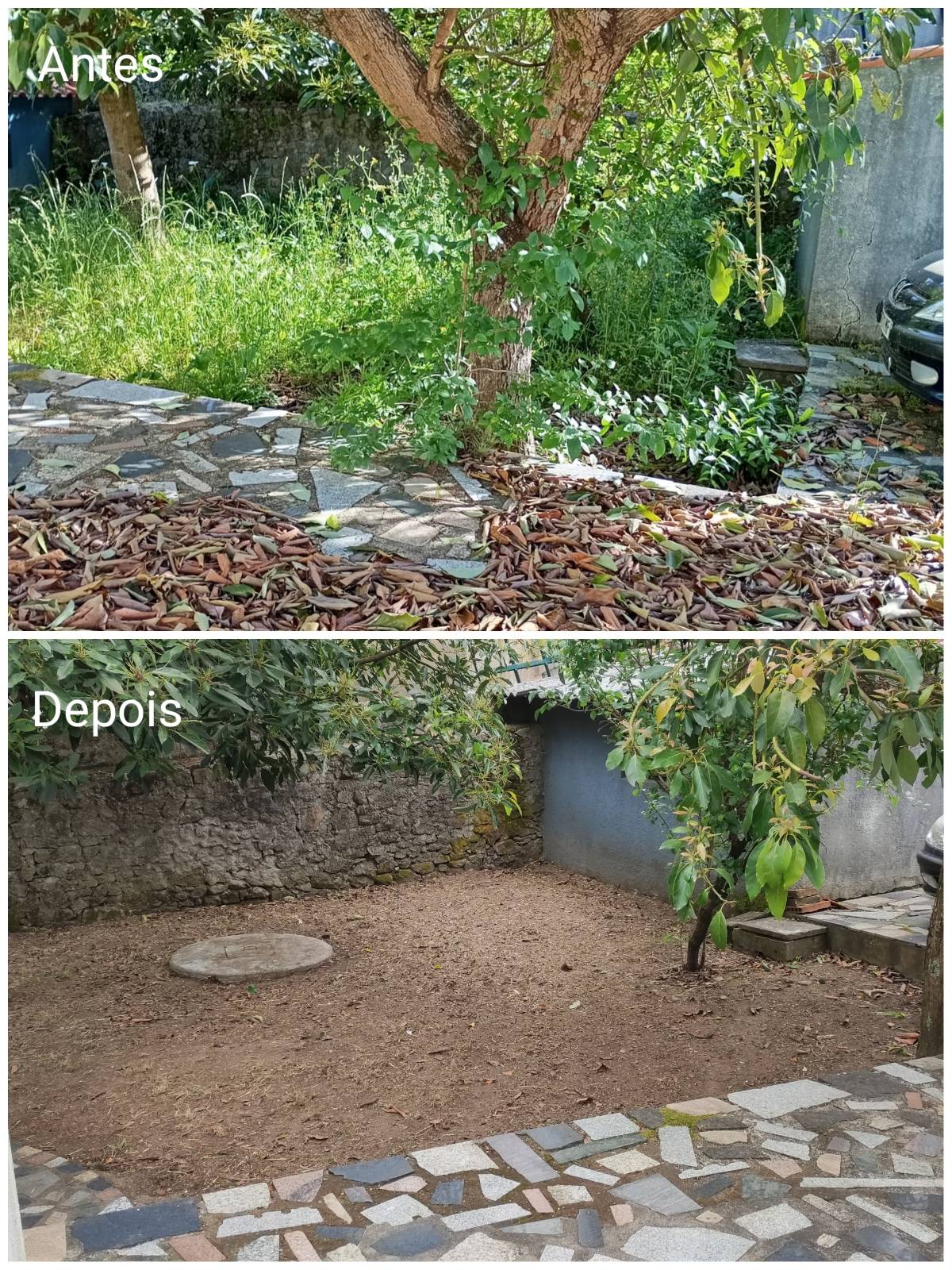 Rodrigo Alves - Ponte de Lima - Tree Stump Grinding and Removal
