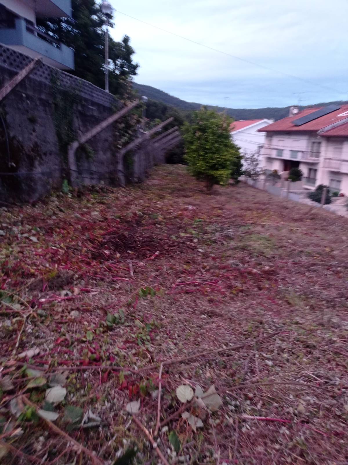 Fábio Sousa - Barcelos - Shrub Removal