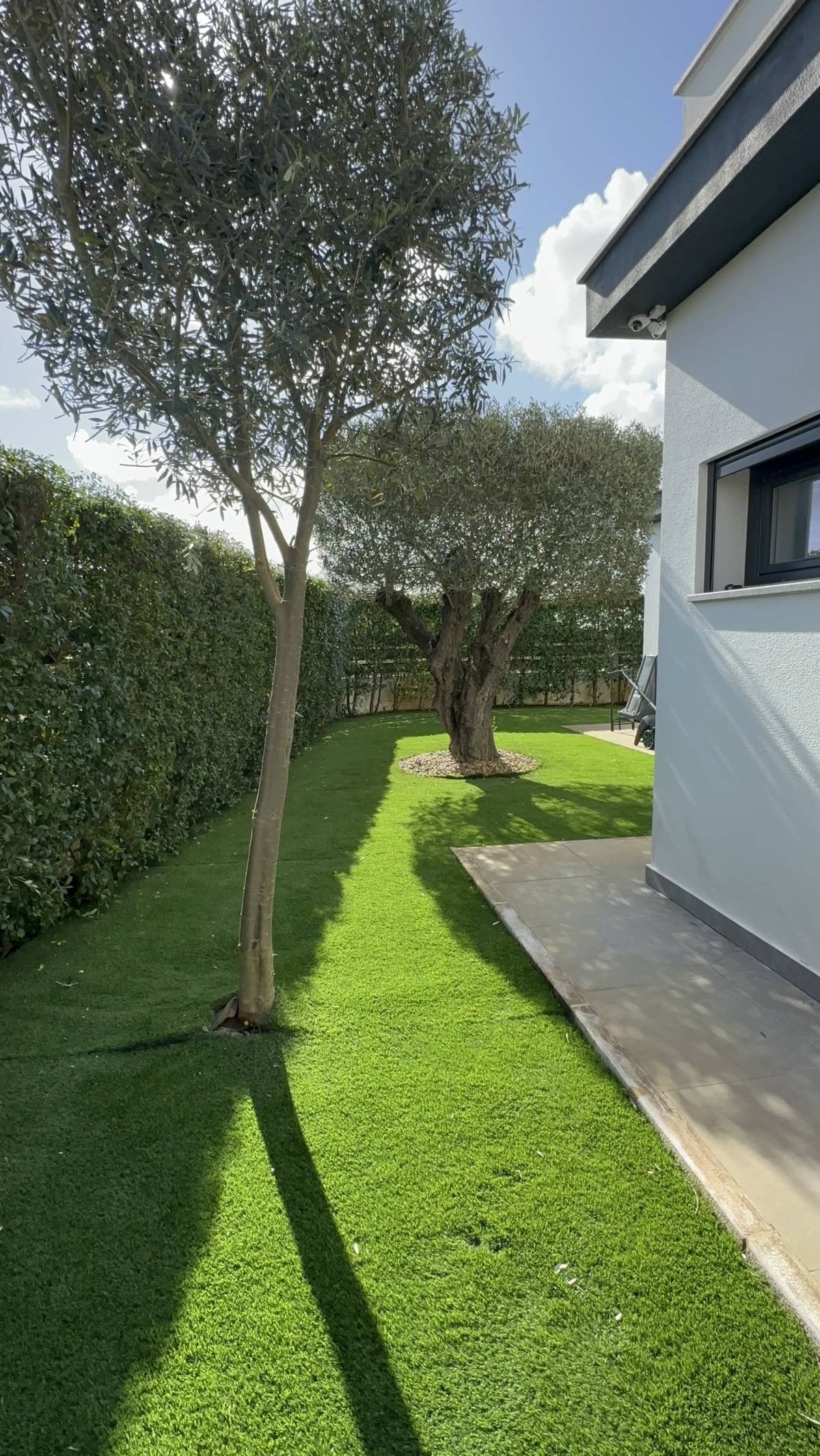 Edmilson - Loures - Tree Trimming and Maintenance