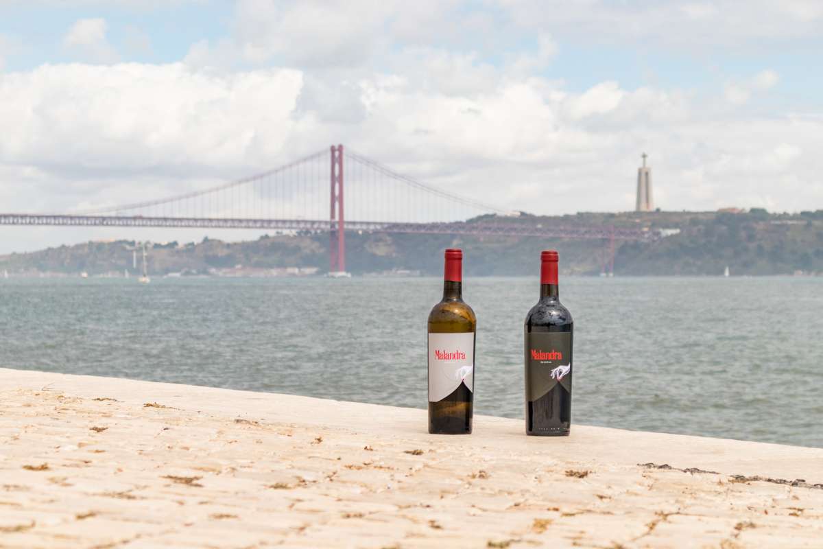 Francisco Palma - Lisboa - Hochzeitsfotografie