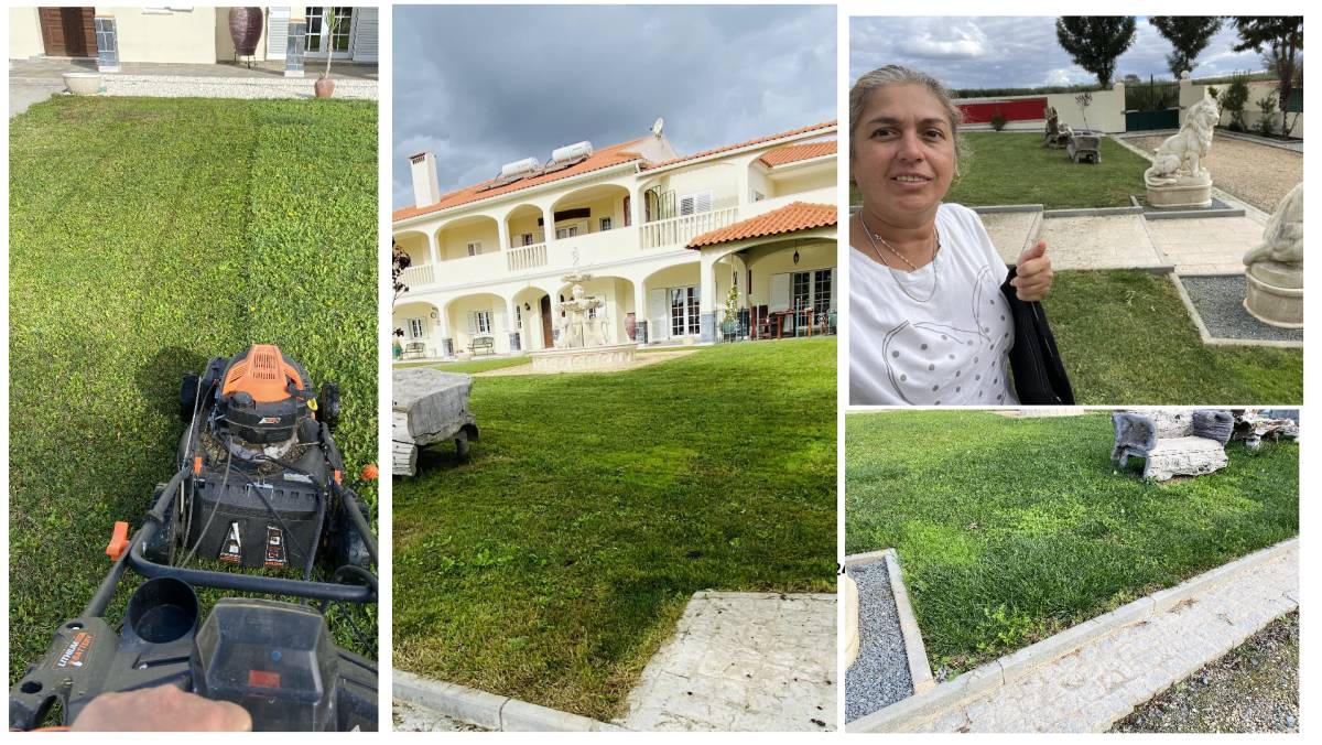 Co2francymar - Ferreira do Alentejo - Property Cleanup