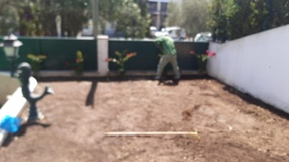 Edmilson - Loures - Tree Planting