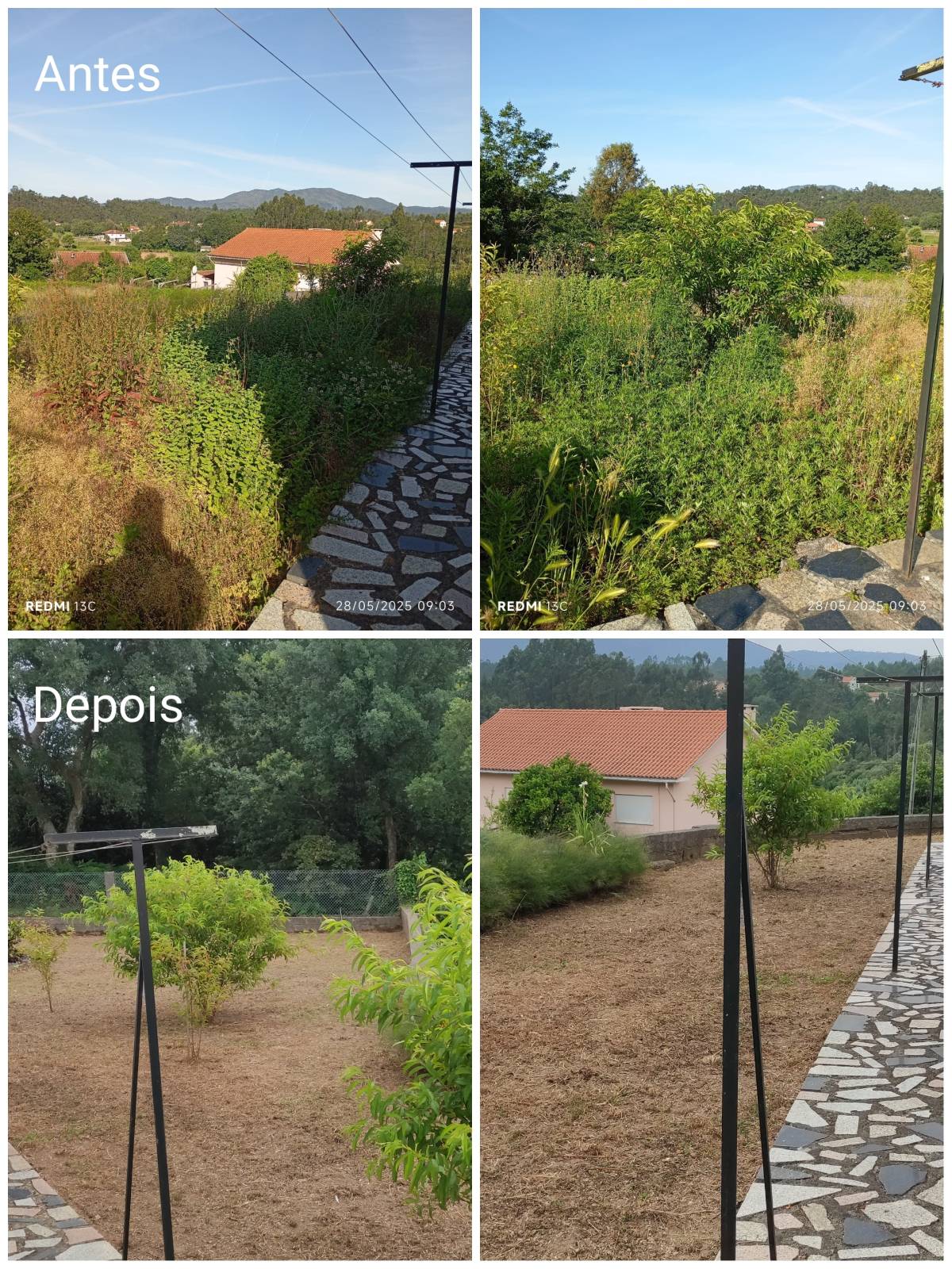 Rodrigo Alves - Ponte de Lima - Shrub Removal