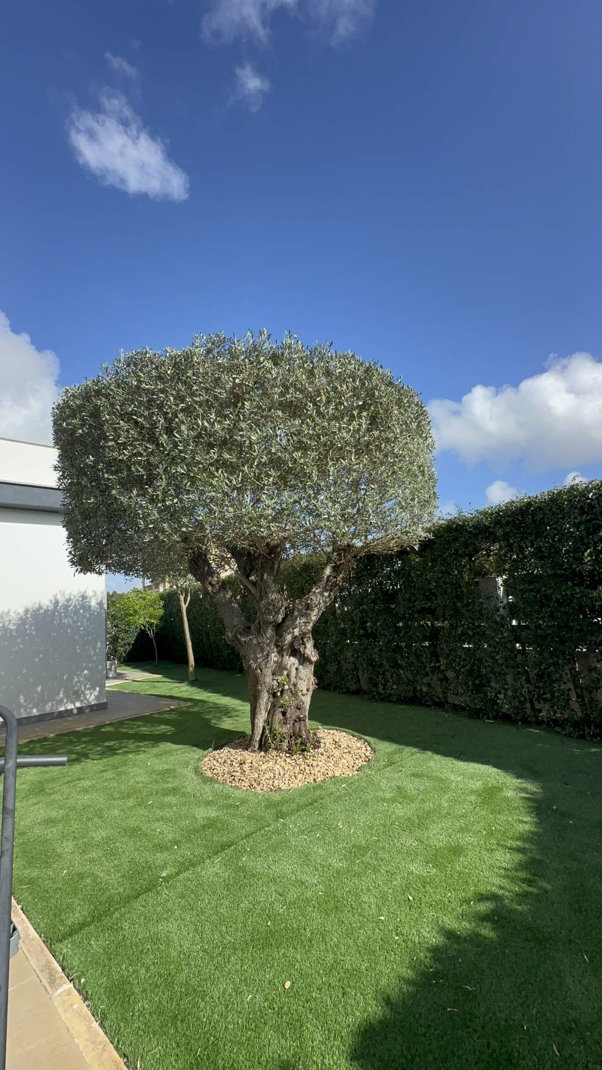 Edmilson - Loures - Lawn Mowing and Trimming