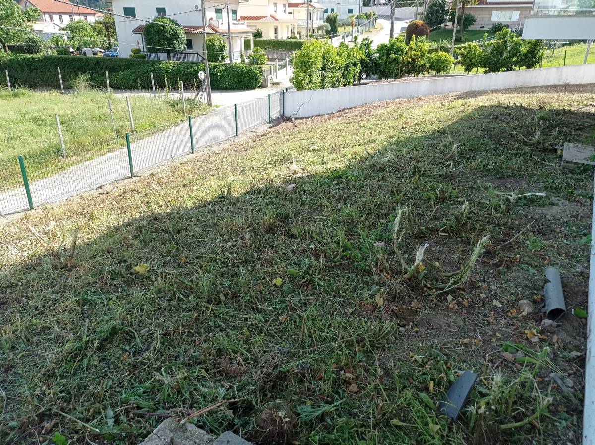 Fábio Sousa - Barcelos - Tree Trimming and Maintenance