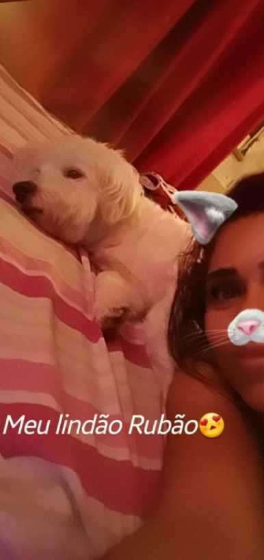 Elaine Ismerim - Viana do Castelo - Hotel para Cães