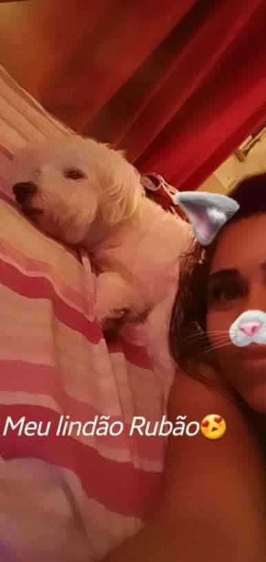 Elaine Ismerim - Viana do Castelo - Dog Hotel