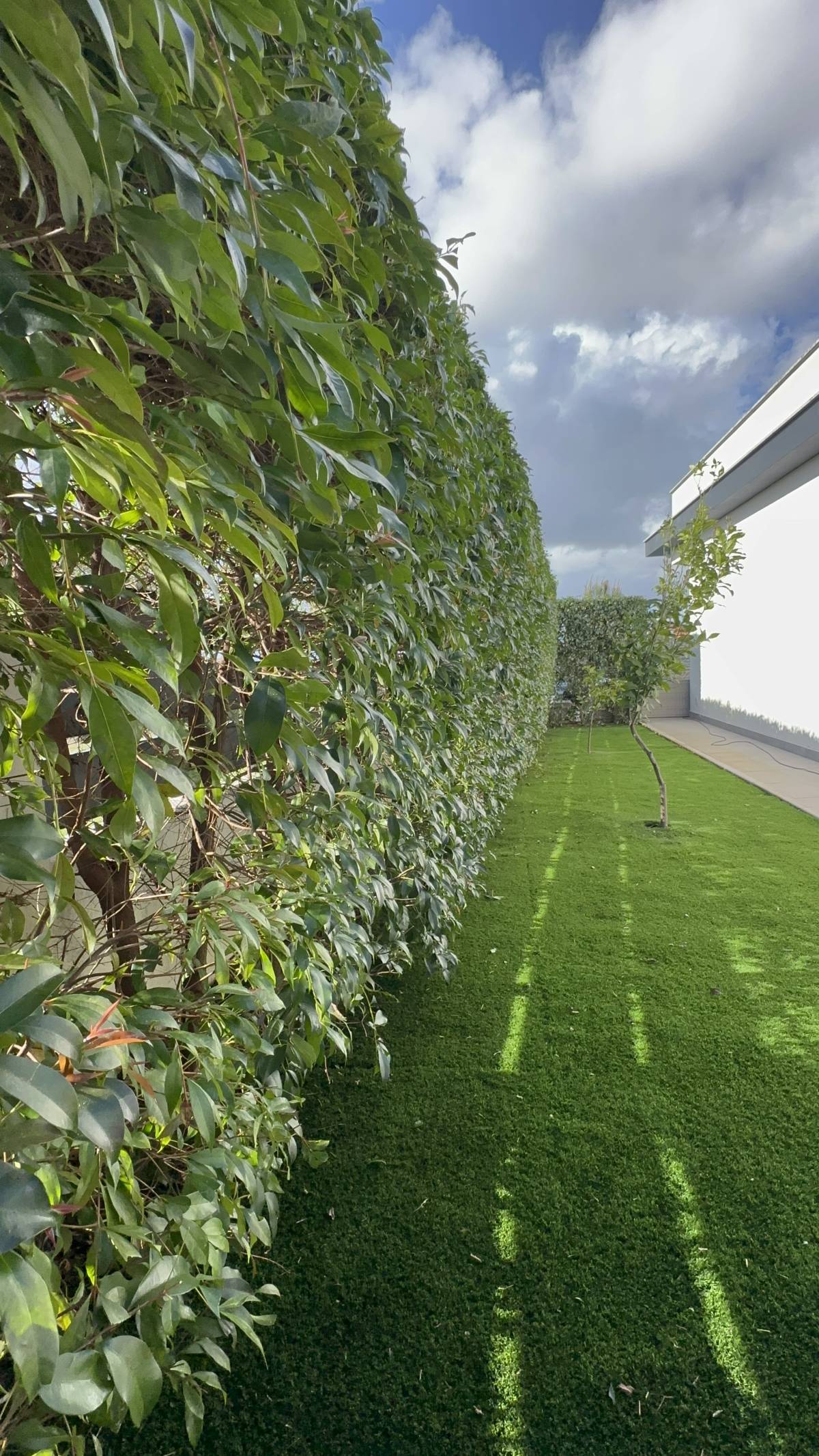 Edmilson - Loures - Multi Service Lawn Care