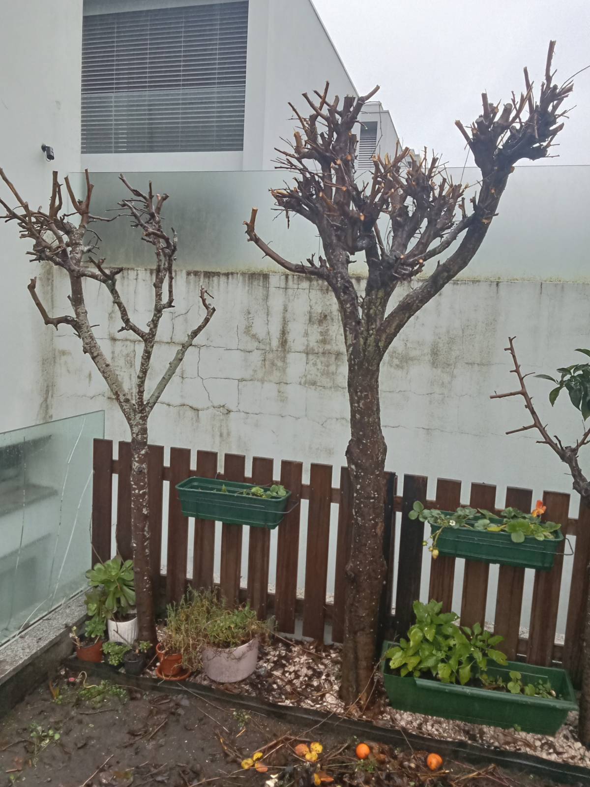 Raul dias - Póvoa de Varzim - Plumbing