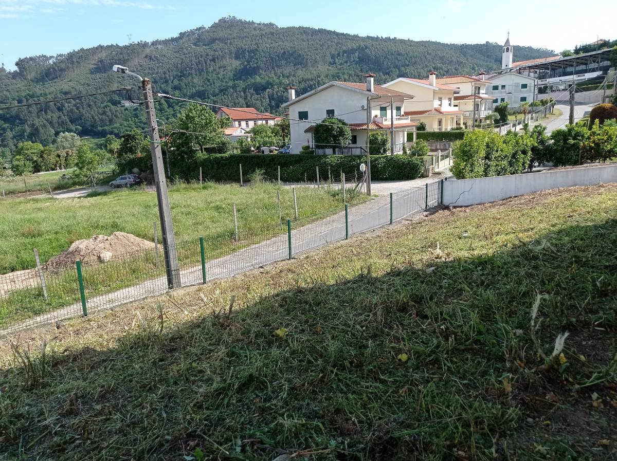 Fábio Sousa - Barcelos - Remoção de Tronco de Árvore