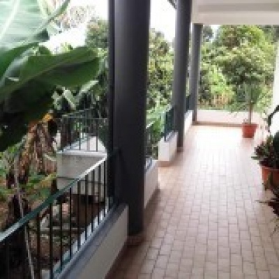 Prosperpriority, Lda - Funchal - Stein- oder Fliesenboden verlegen
