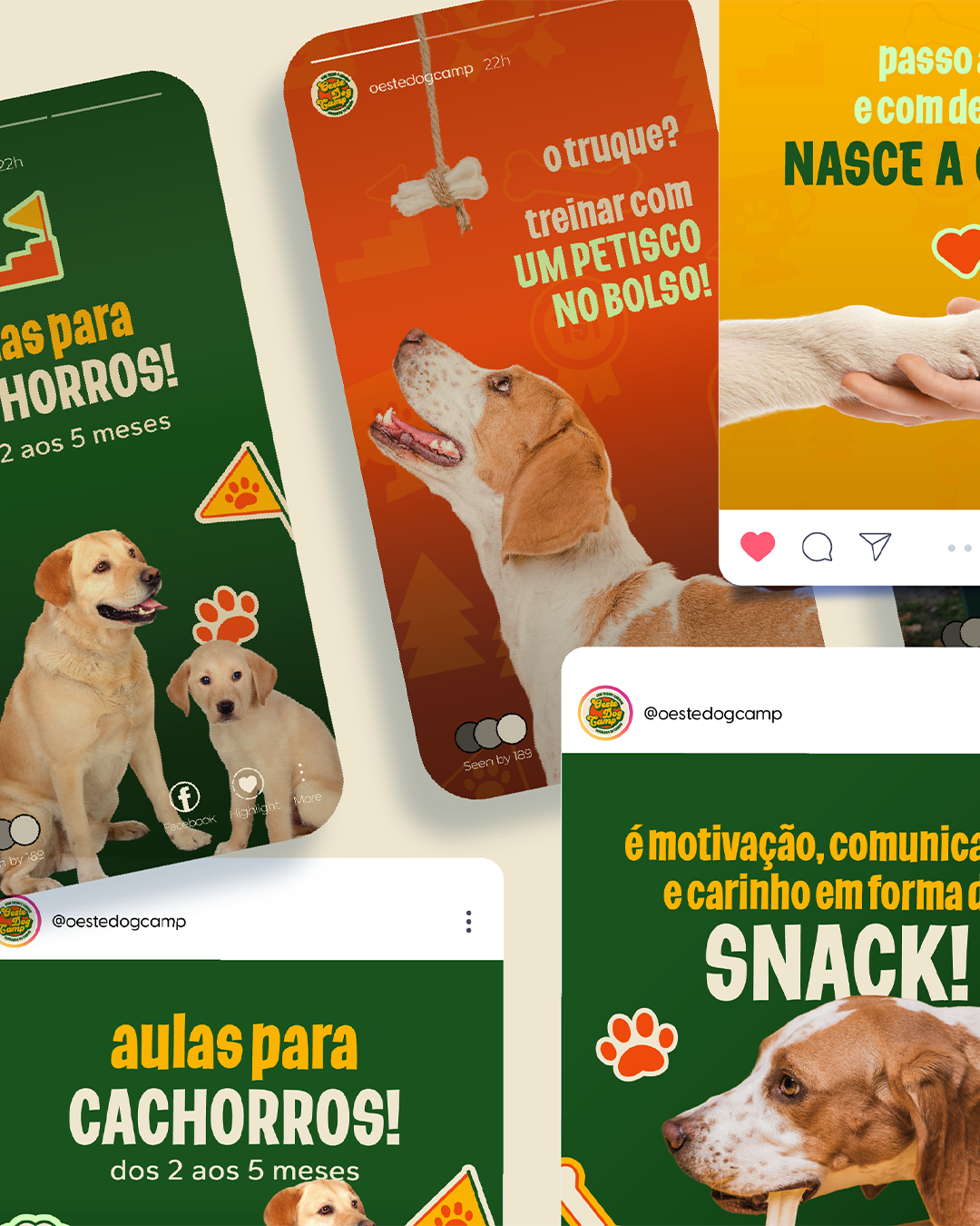 LinhaCriativa 💫 - Alcobaça - Design de UI