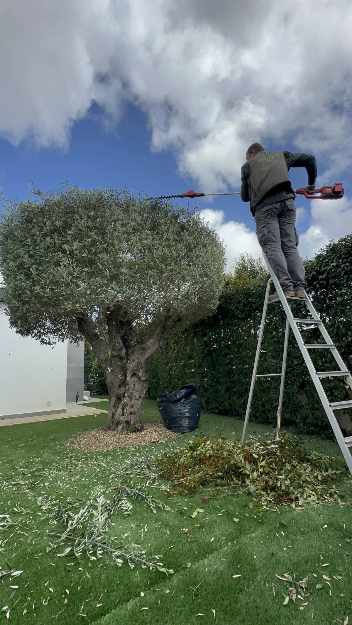 Edmilson - Loures - Gardening