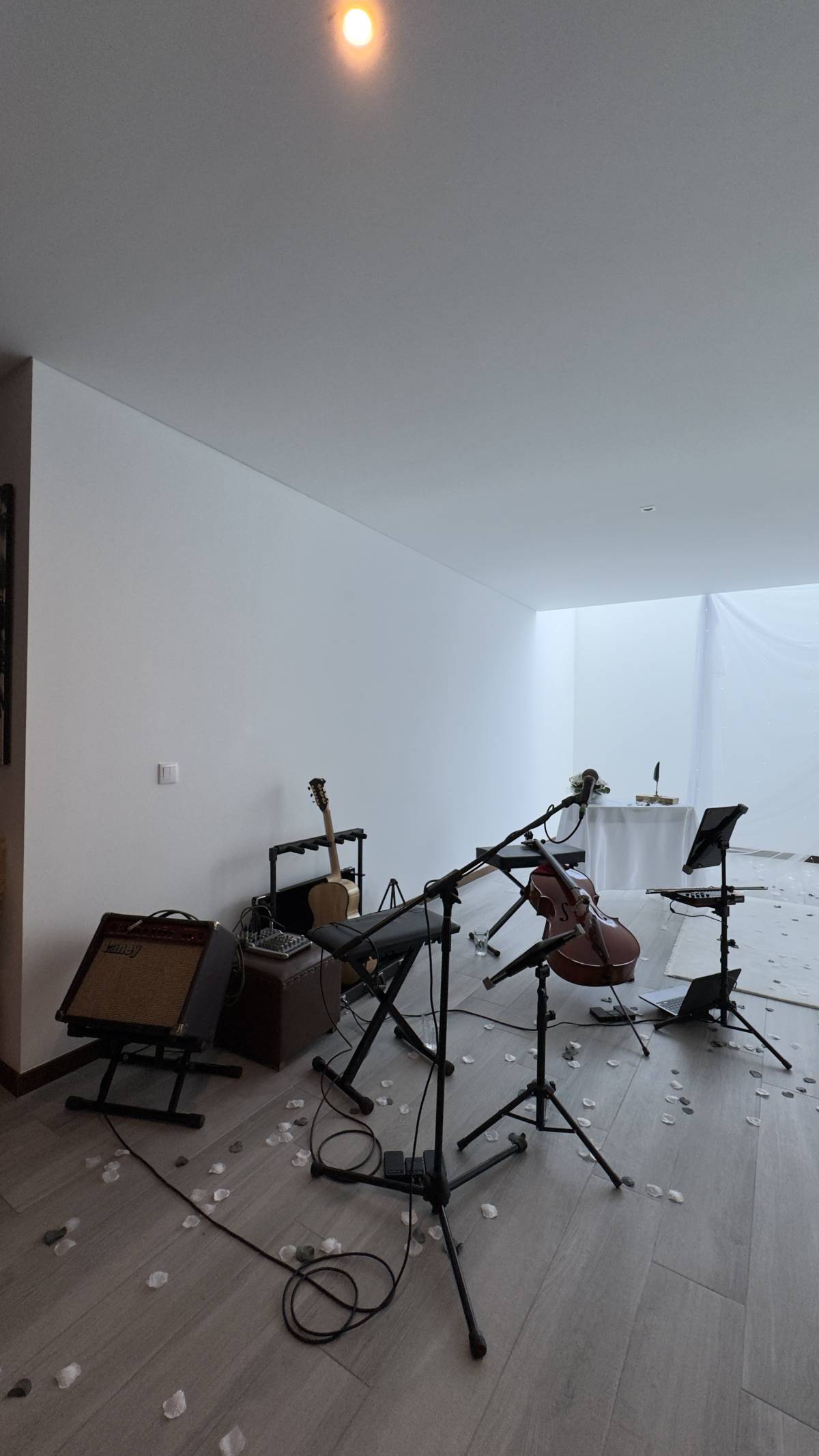 Violaocello Eventos - Aveiro - Band Entertainment