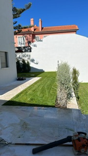 Edmilson - Loures - Tree Stump Grinding and Removal