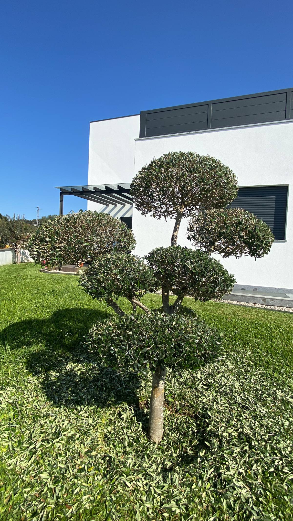 Eduardo Soluções - Braga - Limpieza de chimeneas