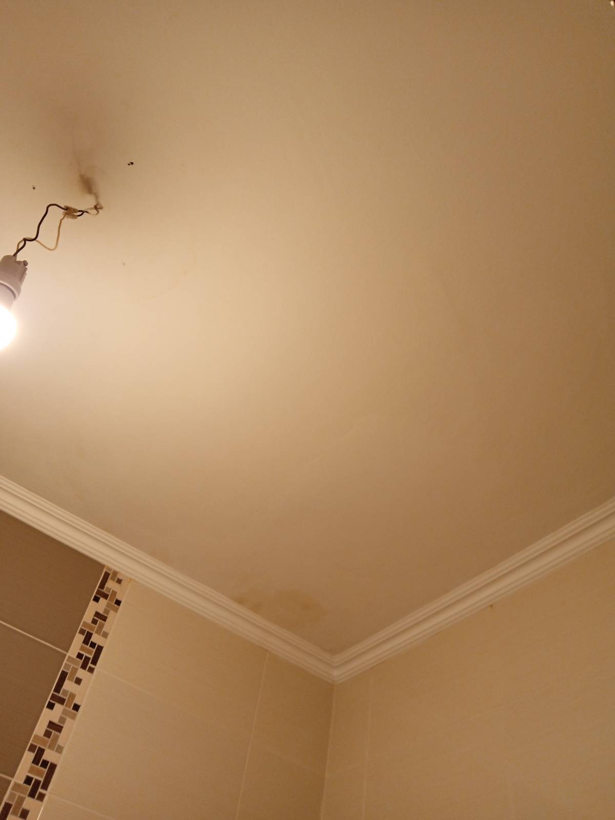 Nelson branco - Barreiro - Roof Installation or Replacement