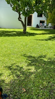 Edmilson - Loures - Gardening