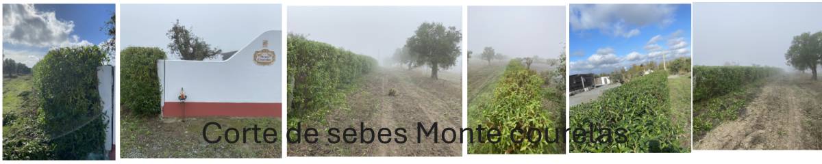 Co2francymar - Ferreira do Alentejo - Greenhouse Services