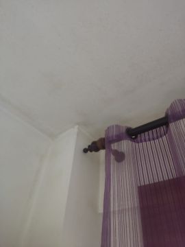 Pintura de Casas - Pintura