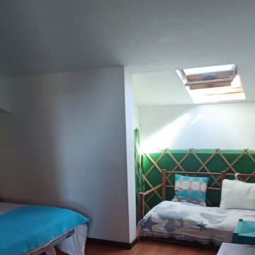 Priscila Santos - Anadia - Property Cleanup
