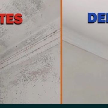 EzKiMa Cleaning - Mafra - Nettoyage de fenêtres