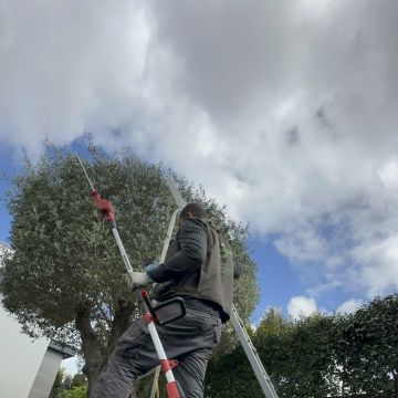 Edmilson - Loures - Tree Planting
