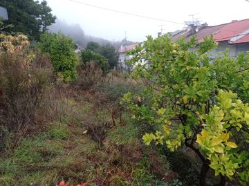 Fábio Sousa - Barcelos - Tree Stump Grinding and Removal