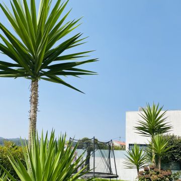 Eduardo Soluções - Braga - Montaje de cunas