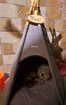 Hundetagesstätte (Hundesitter)