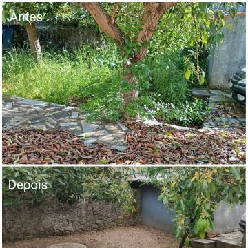Rodrigo Alves - Ponte de Lima - Tree Stump Grinding and Removal