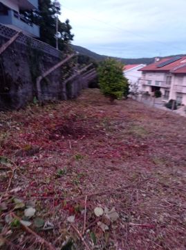 Fábio Sousa - Barcelos - Shrub Removal