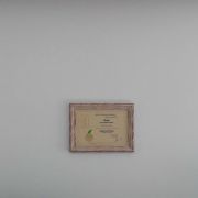 José Antunes - Cascais - Reiki Healing