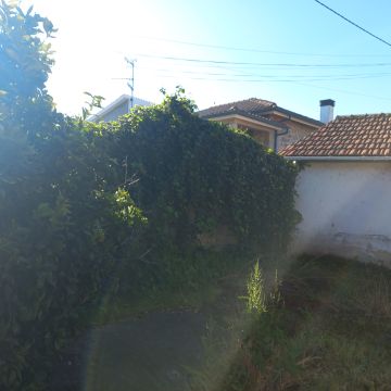 LMT - Valença - Shrub Removal