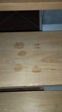 Técnico de Pisos em Madeira