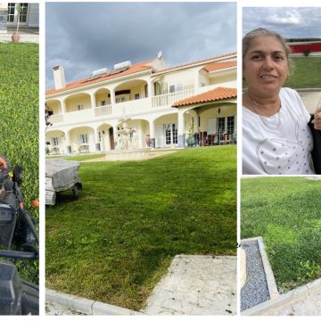 Co2francymar - Ferreira do Alentejo - Property Cleanup
