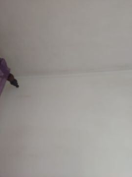 Pintor de Casas