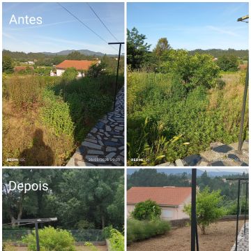 Rodrigo Alves - Ponte de Lima - Shrub Removal