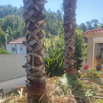 Eduardo Soluções - Braga - Reparación de chimeneas
