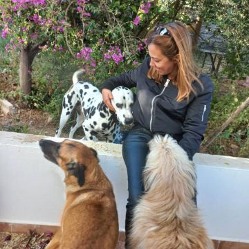 Vera Soares - Oeiras - Services pour animaux de compagnie