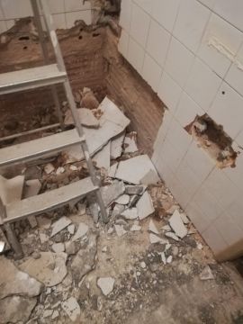 Delinear Serviços - Amadora - Limpeza de Tapete