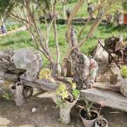 ORTEGAZEN - Moita - Poda e Manutenção de Árvores