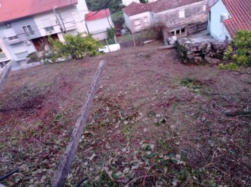 Fábio Sousa - Barcelos - Lawn Mowing and Trimming