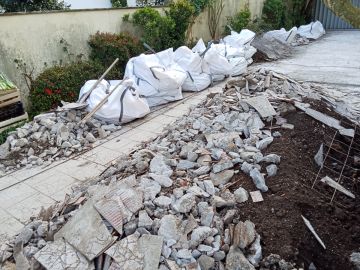Raul dias - Póvoa de Varzim - Shrub Removal