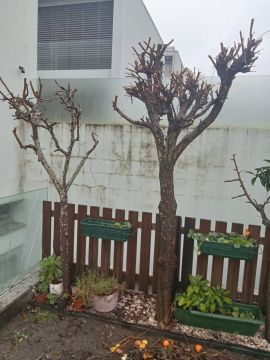 Raul dias - Póvoa de Varzim - Plumbing