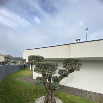 Eduardo Soluções - Braga - Claraboyas