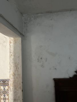 Paredes, Pladur e Escadas - Casa